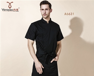 A6631